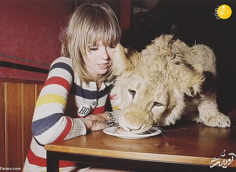 (تصاویر) داستان یک شیر؛ از بنز سواری تا رهایی در حیات وحش کنیا